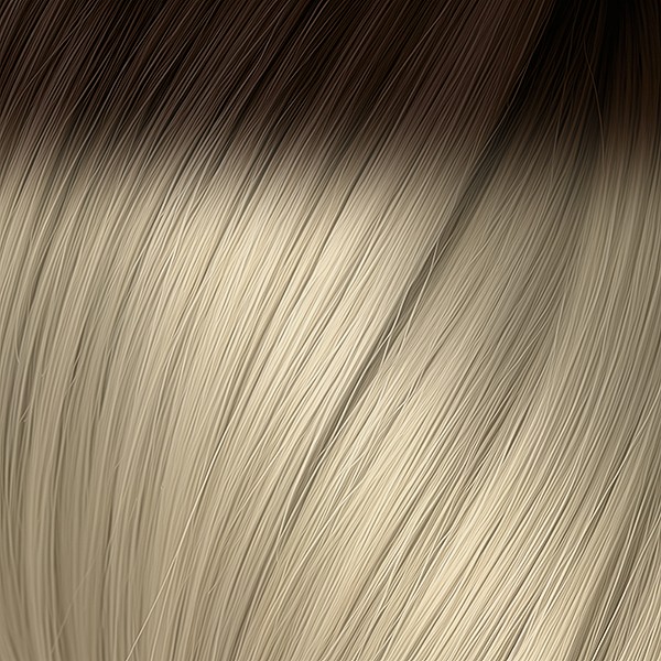 8/1004 R. Natural Dark Blond / Ultra Light Platinum Blond