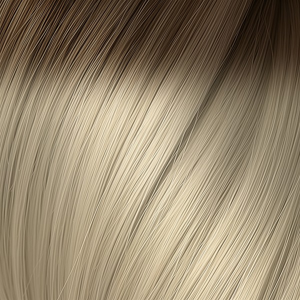 10/1004 R. Dark Blond Ash / Ultra Light Platinum Blond