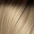 10/20 R. Dark Blond Ash / Ultra Light Blond
